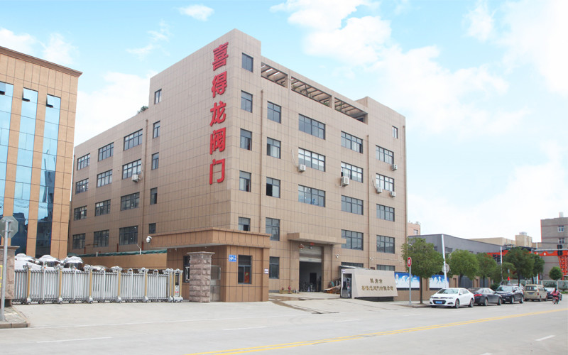 중국 Wenzhou Xidelong Valve Co. LTD 회사 프로필