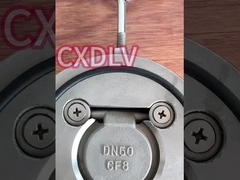 산업용 웨이퍼 단일 디스크 스윙 체크 밸브