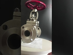 PTFE는 150LB 수동핸들 SS 3 인치 플랜지된 글러브 밸브를 패킹을 합니다