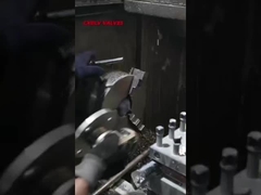 라이브 샷 팩토리