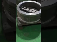 듀얼 플레이트 체크 밸브