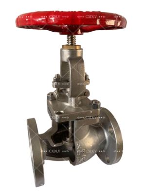 150LB 스테인리스 스틸 CF8M 플랜지 끝을 가진 상승 줄기 손바퀴 게이트 밸브